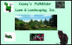 casey's purrfekt lawn