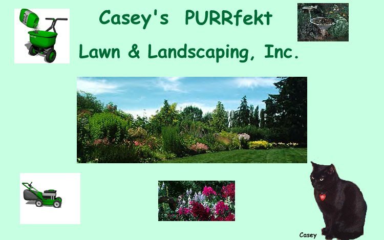 casey's purrfekt lawn