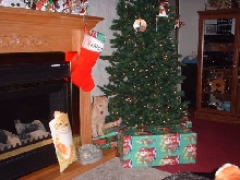 rileyunderthetree