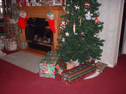 rileyisapresent
