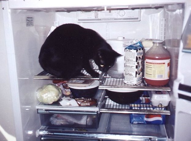 fridge