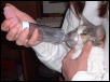 meadow inhaled meds