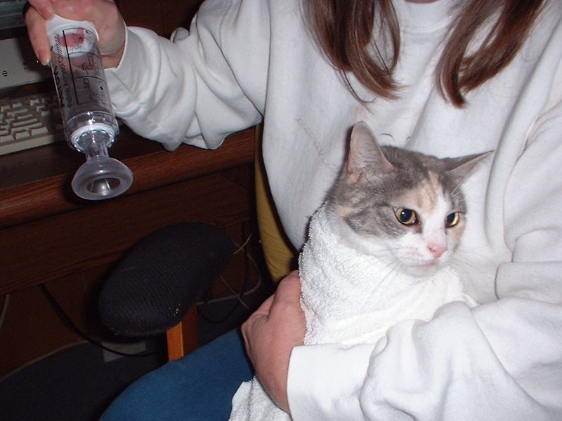 Getting ready for meds