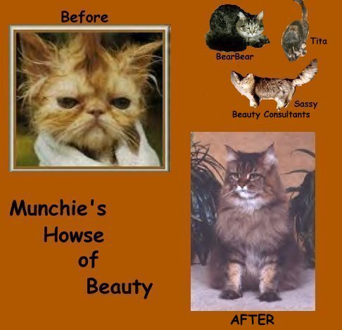 munchiebeautyspa