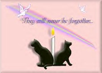 neverbeforgotten