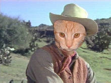 cowboy riley