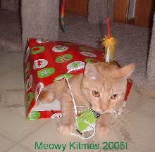 riley kitmas