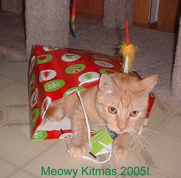 riley kitmas