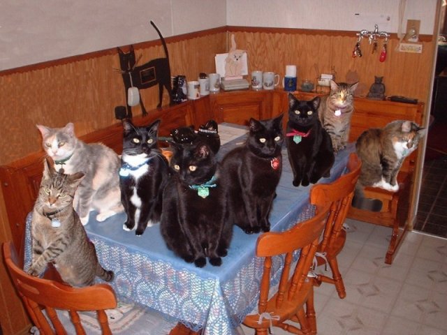 all8