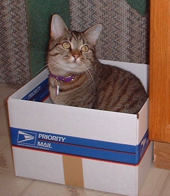 ash box