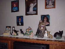 ashleyshelf