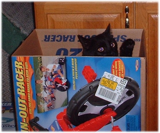 box