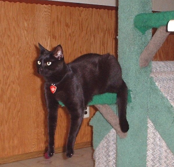 casey hanging out