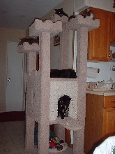 castle2