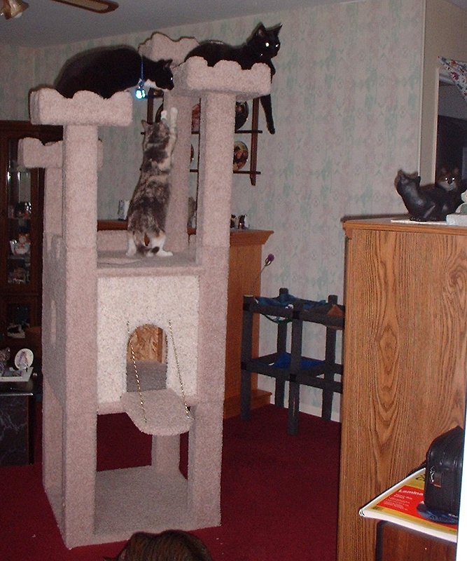 castle7-18-03