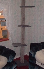 cattree