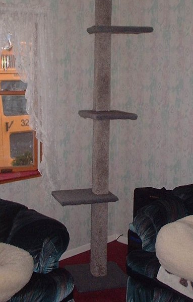 cattree