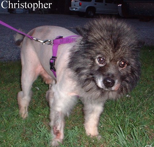 christopher