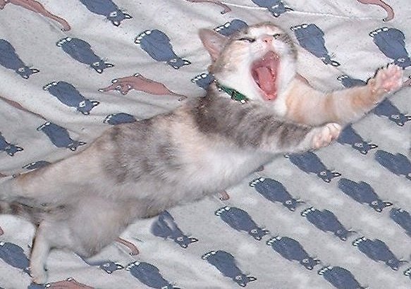 growlyawn