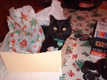 kitmasmunch