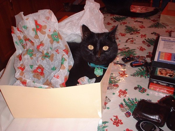 kitmasmunch