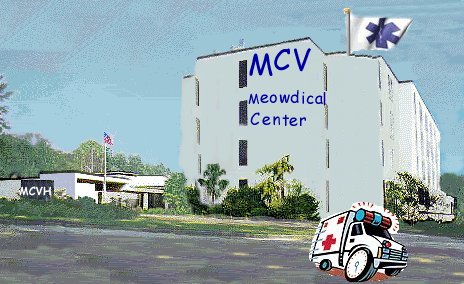 mcv hospital