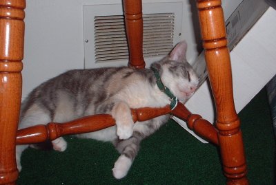 meadsleep