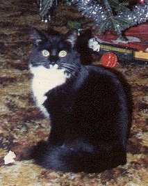 mittens