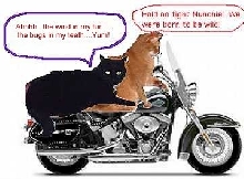 motormunch