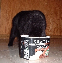 munch icecream