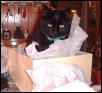 munch in box