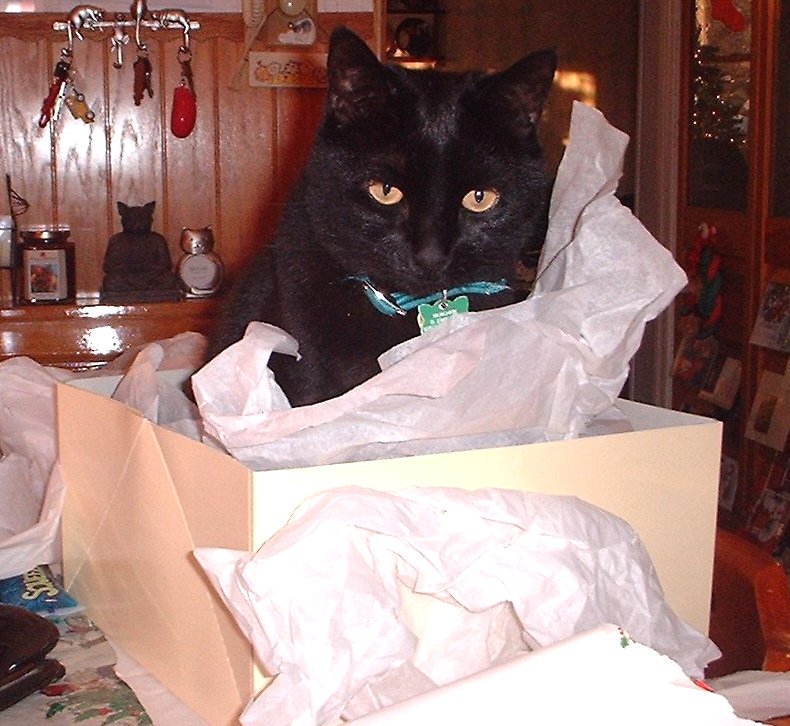 munch in box