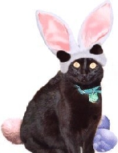 muncheaster