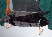 munchnapper