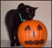 munchpumpkin
