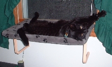 munchsleep