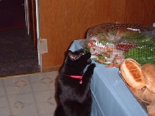 Mushka Shrimp