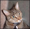 nickycloseup