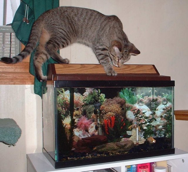 nicky fishing