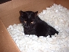 boxmunch2