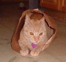 riley bag