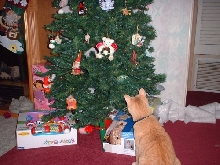 riley xmas