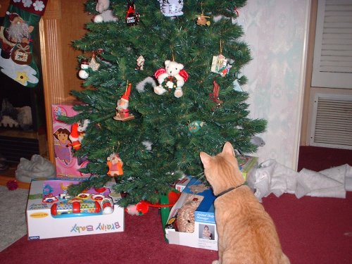 riley xmas