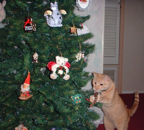 riley xmas steal