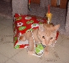 rileybag