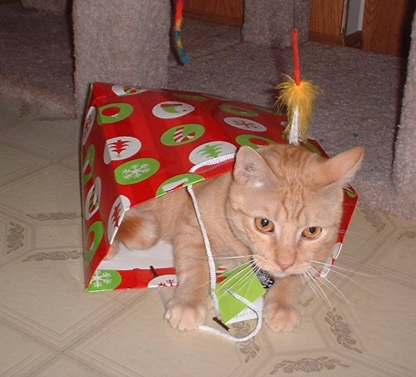 rileybag