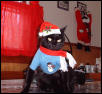 santa casey