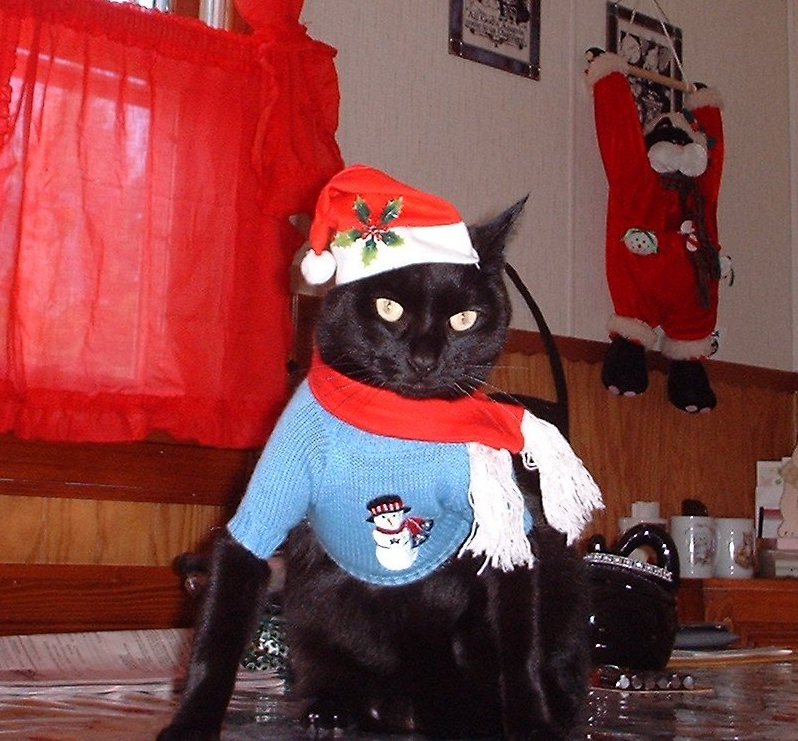 santa casey