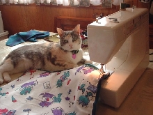 sew last