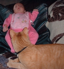 sobolbabywatch